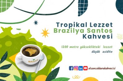 Brezilya Kahvesi Nasıl Yapılır? Özellikleri Nelerdir?
