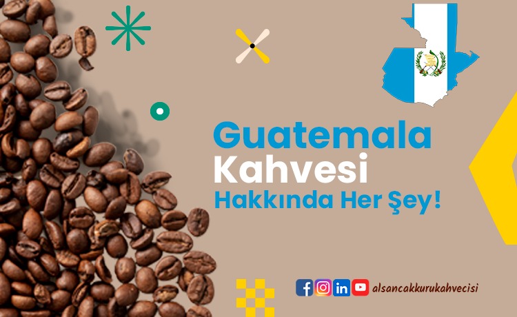 Guatemala Kahvesi