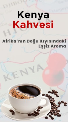 Kenya Filtre Kahvesi Nyeri