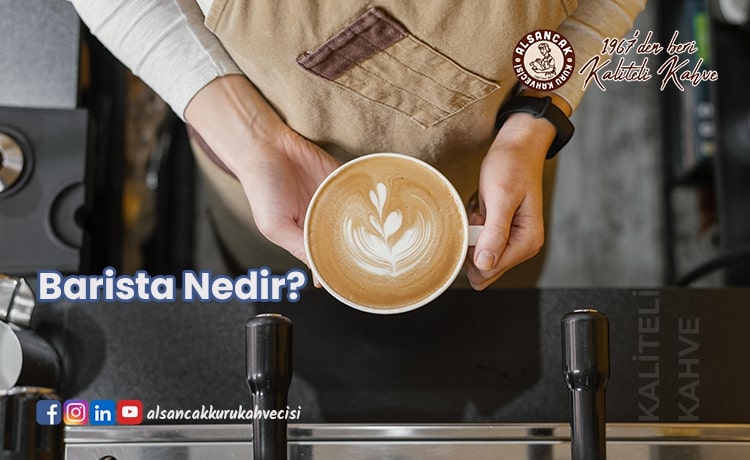 Barista Nedir?